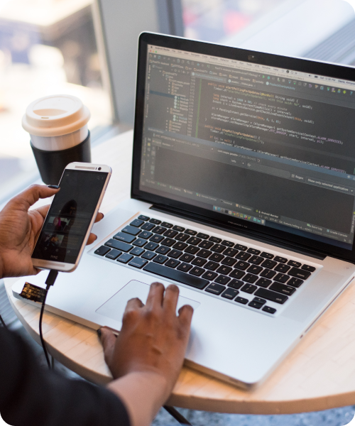 Web Developent Company In Bathinda Punjab