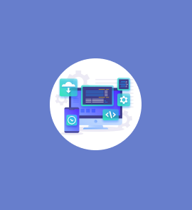 Software Development Company In Bathinda Punjab